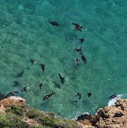 Sandy Bay